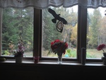 Der Blick aus dem Vorderfenster