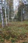 "Stilles rtchen" mitten in der Natur
