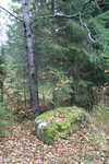 Natur pur vor dem Fenster