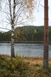 "Unten am Fluss"