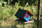 Und auch die Eichhrnchen