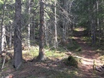 Die erwachende Natur ldt zu Wanderungen ein