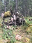 Die Natur als Knstler
