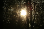 Die Kraft der Sonne wird von Tag zu Tag strker
