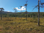 Wanderung zum Njupeskr