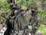 Die Natur als Knstler...