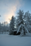Einmalige Winterbilder